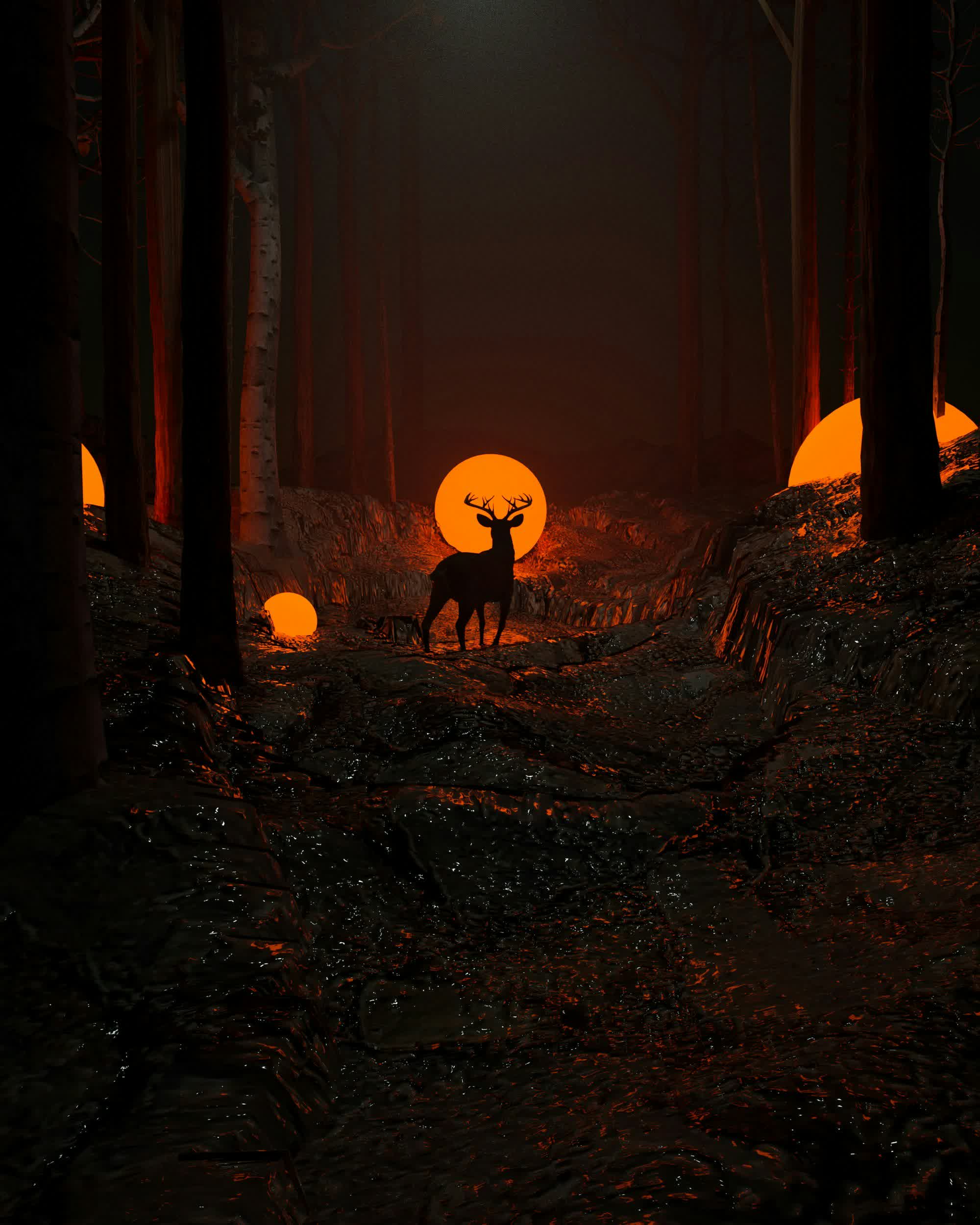Mystic Forest